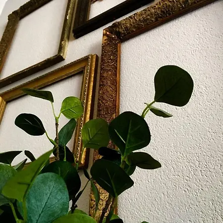 Huusje18 Ferienhaus *