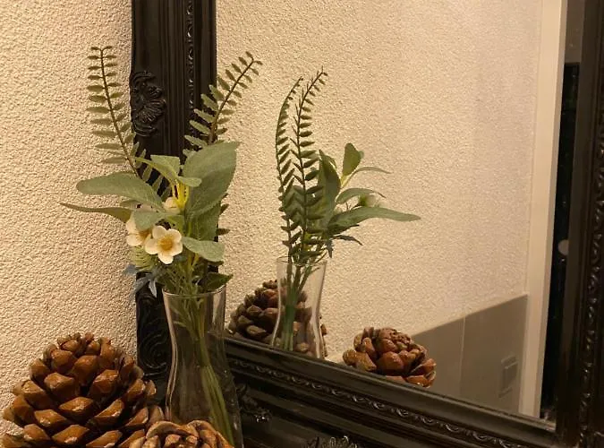 Ferienhaus Huusje18 *