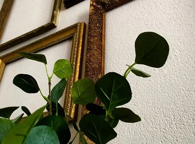 Huusje18 Ferienhaus *