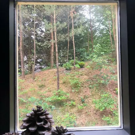 Huusje18 Hébergement de vacances *